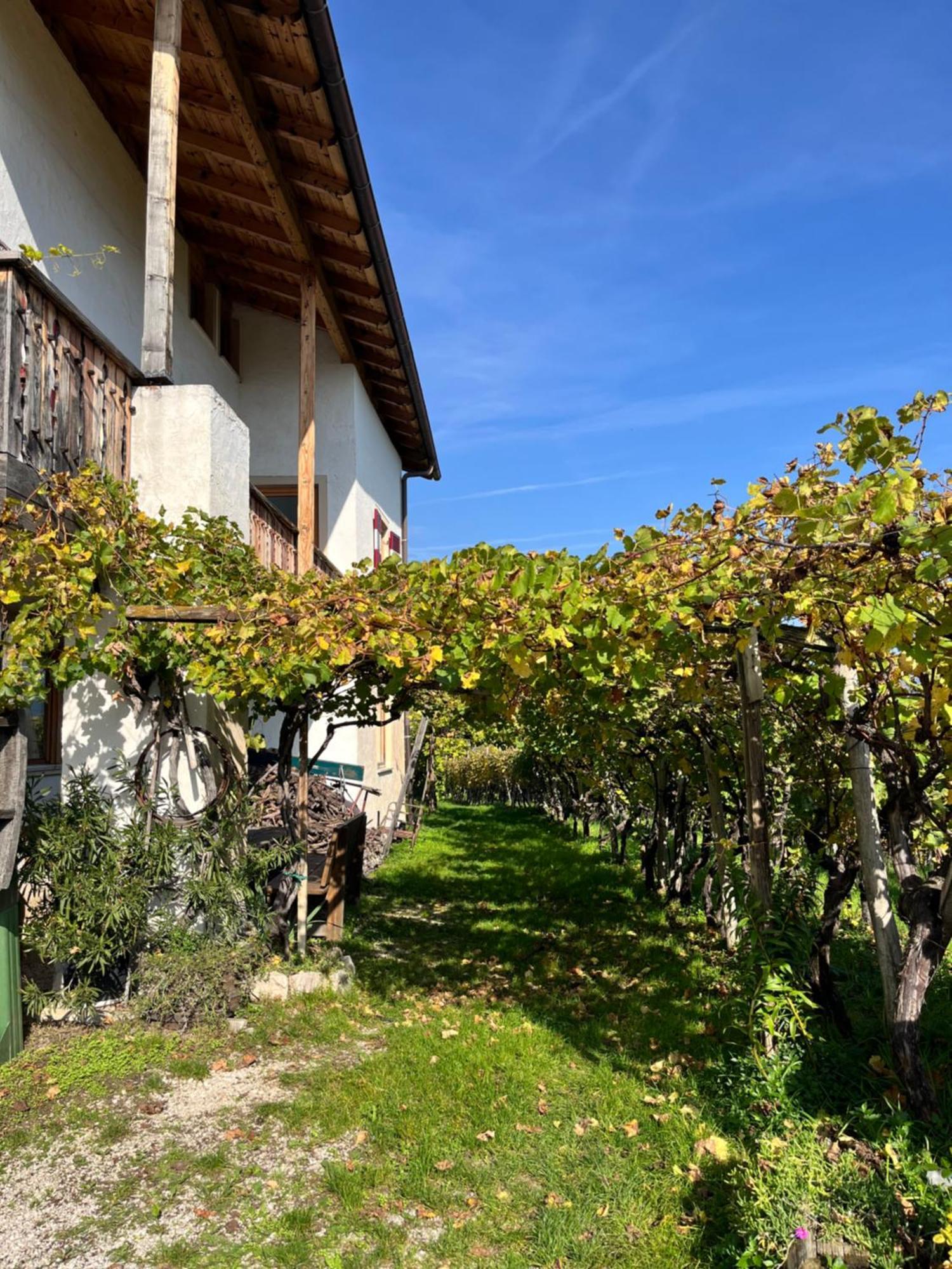 Voldersberghof Apartamento Cortaccia Exterior foto